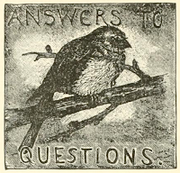 bird image labeled "answers to questions"