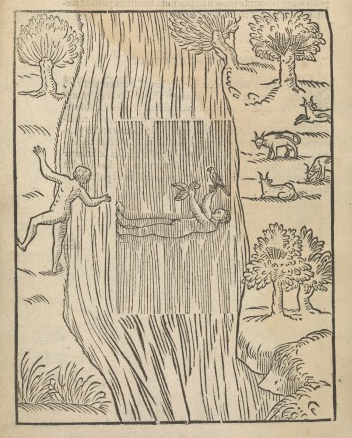 woodcut of naked man on his back in a river holding two birds