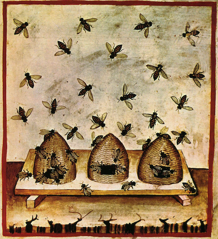 manuscript illustration of bees at hives