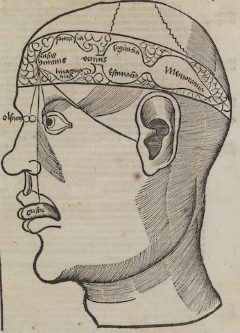 creepy head engraving with brain parts and sense organs labeled