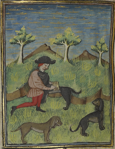illumination of hunter grooming hunting dog with comb while other dogs loiter