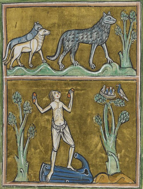 manuscript illustration of wolves and man howling at them