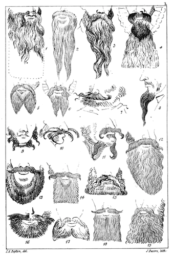 diagram of lower faces with 19 varieties of facial hair